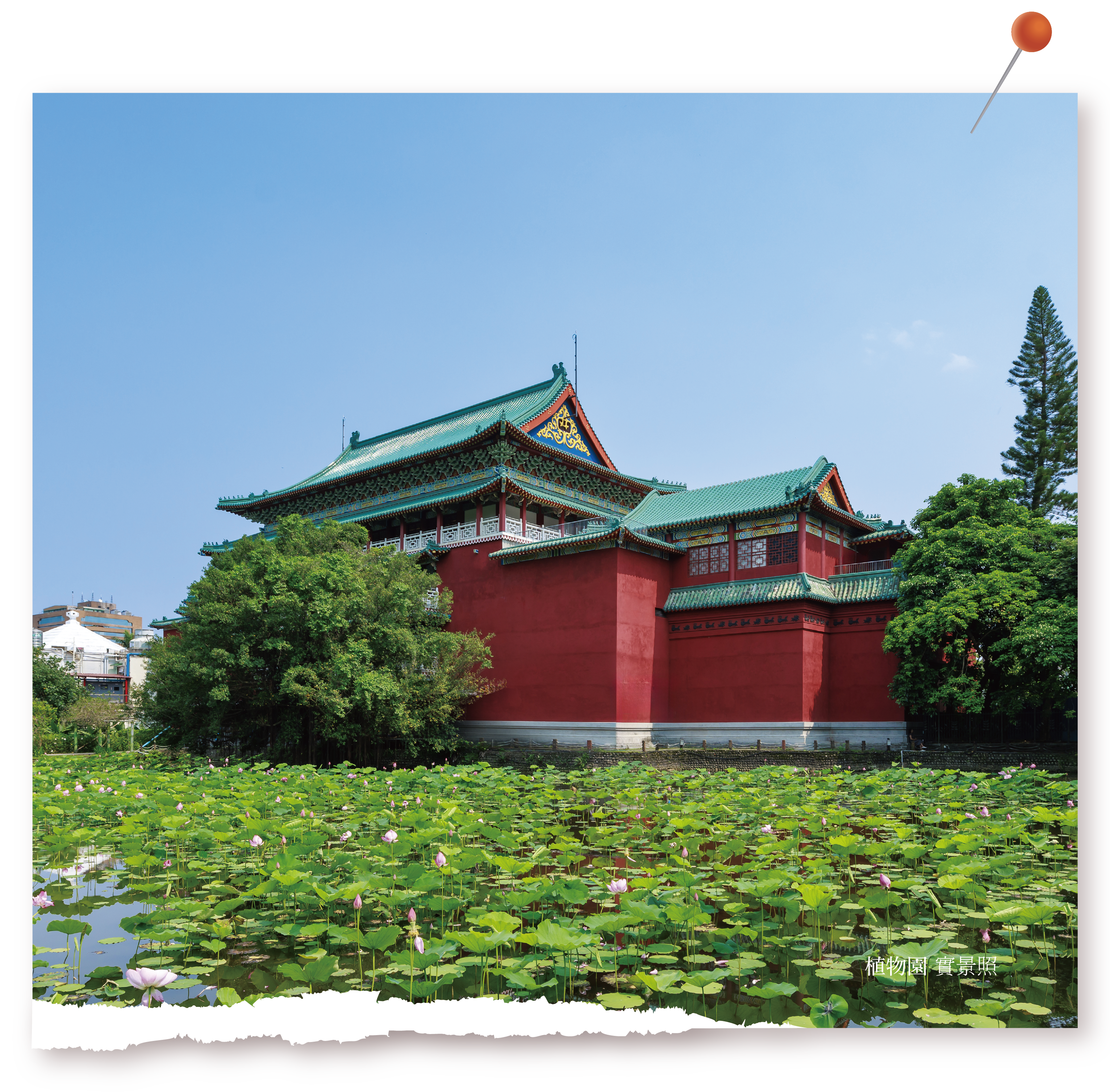 植物園